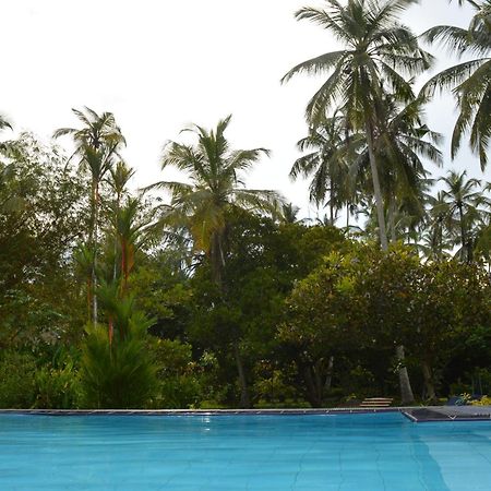 Zum Deutschen Bed & Breakfast Bentota Bagian luar foto