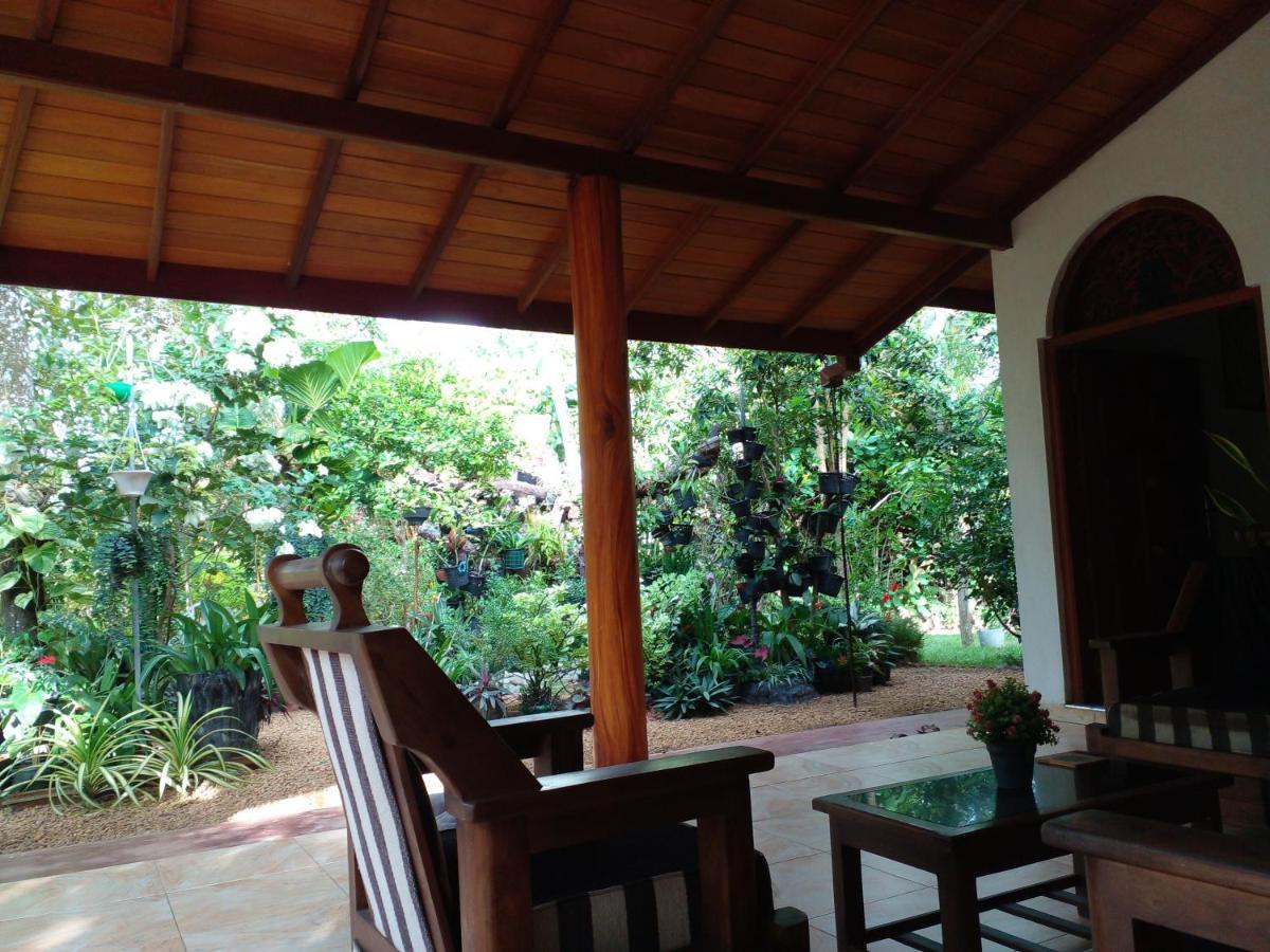 Zum Deutschen Bed & Breakfast Bentota Bagian luar foto