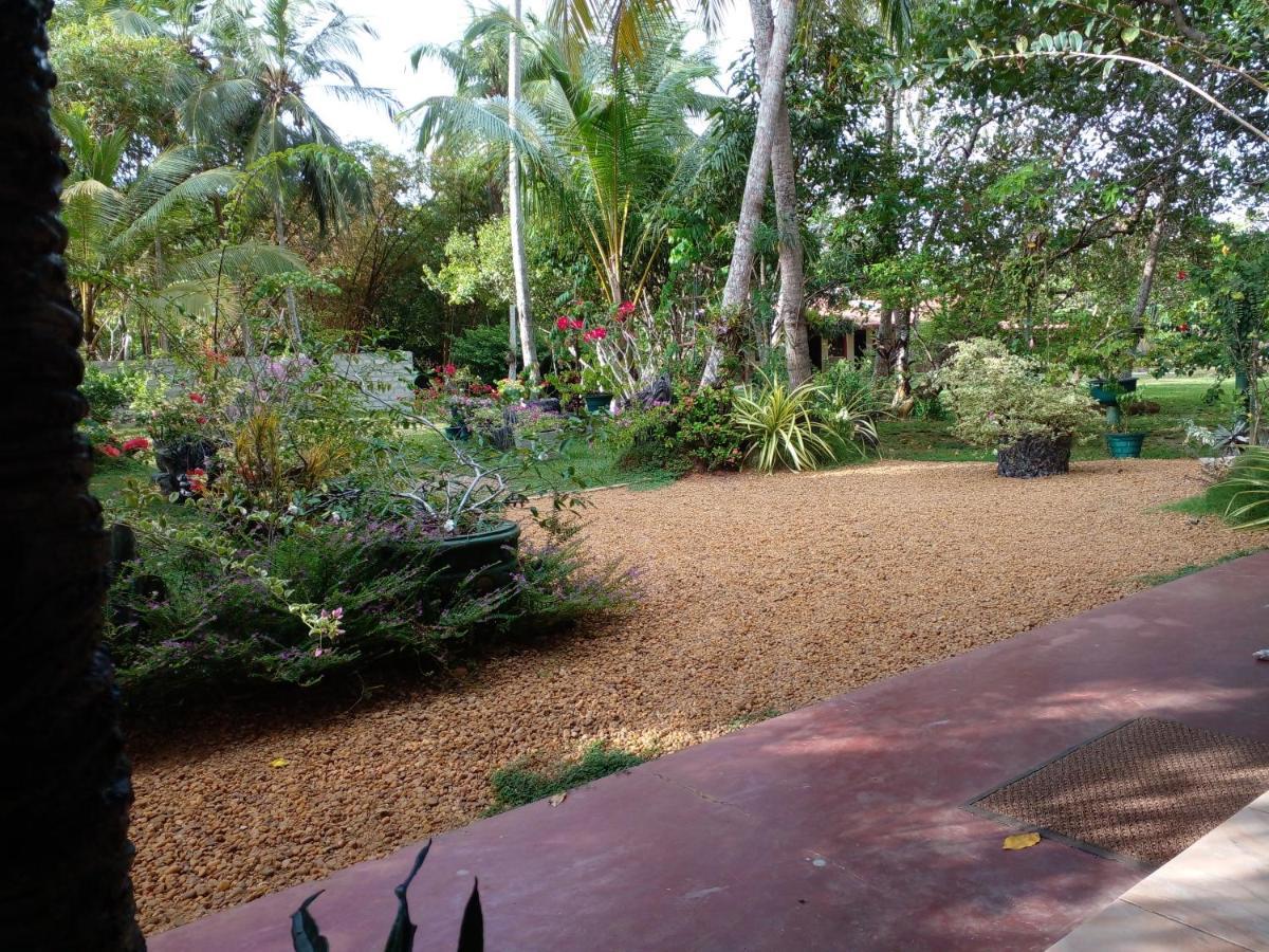 Zum Deutschen Bed & Breakfast Bentota Bagian luar foto