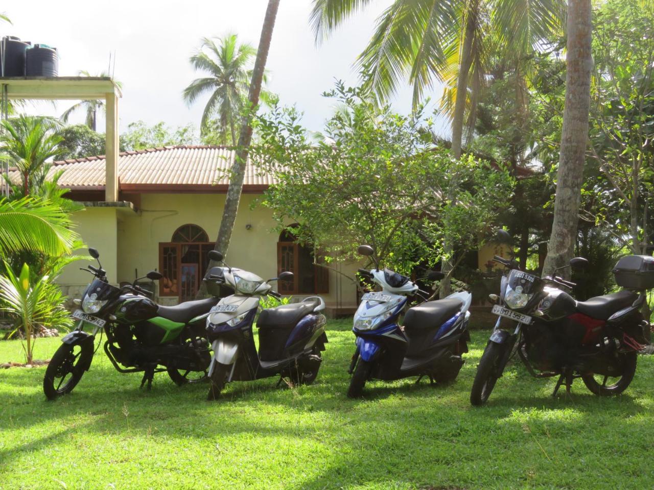 Zum Deutschen Bed & Breakfast Bentota Bagian luar foto