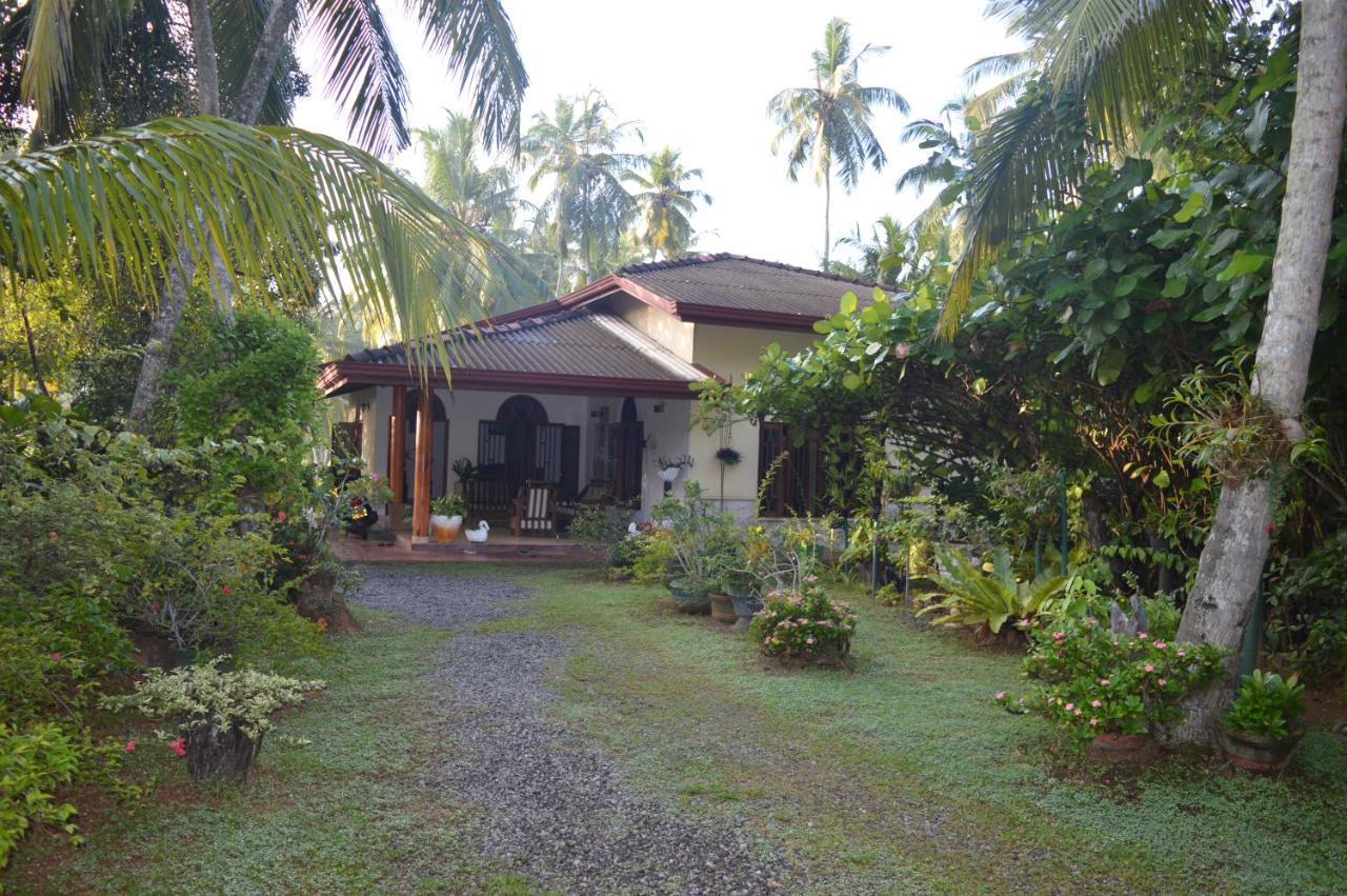 Zum Deutschen Bed & Breakfast Bentota Bagian luar foto