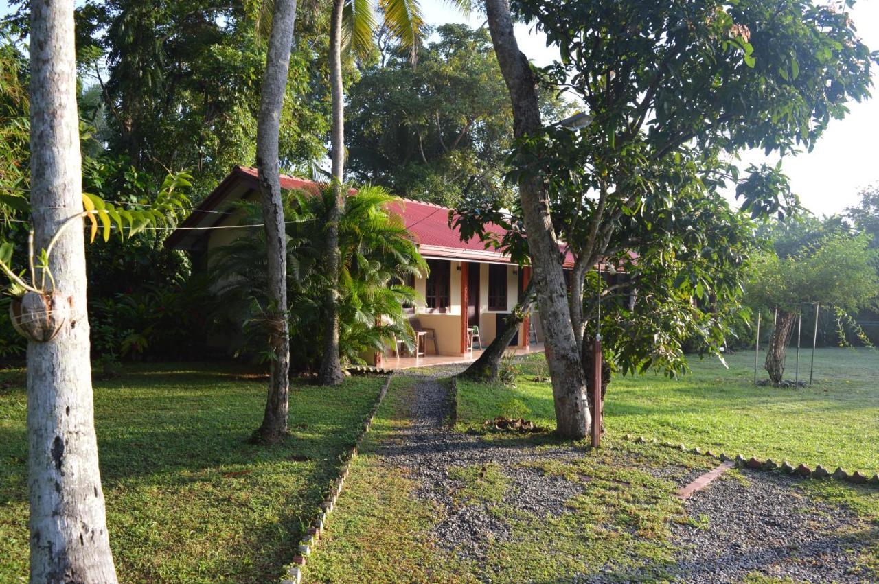 Zum Deutschen Bed & Breakfast Bentota Bagian luar foto