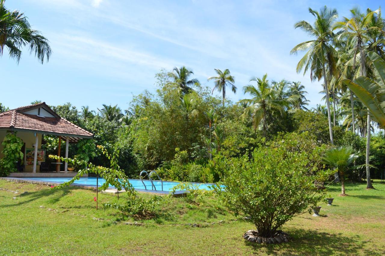 Zum Deutschen Bed & Breakfast Bentota Bagian luar foto