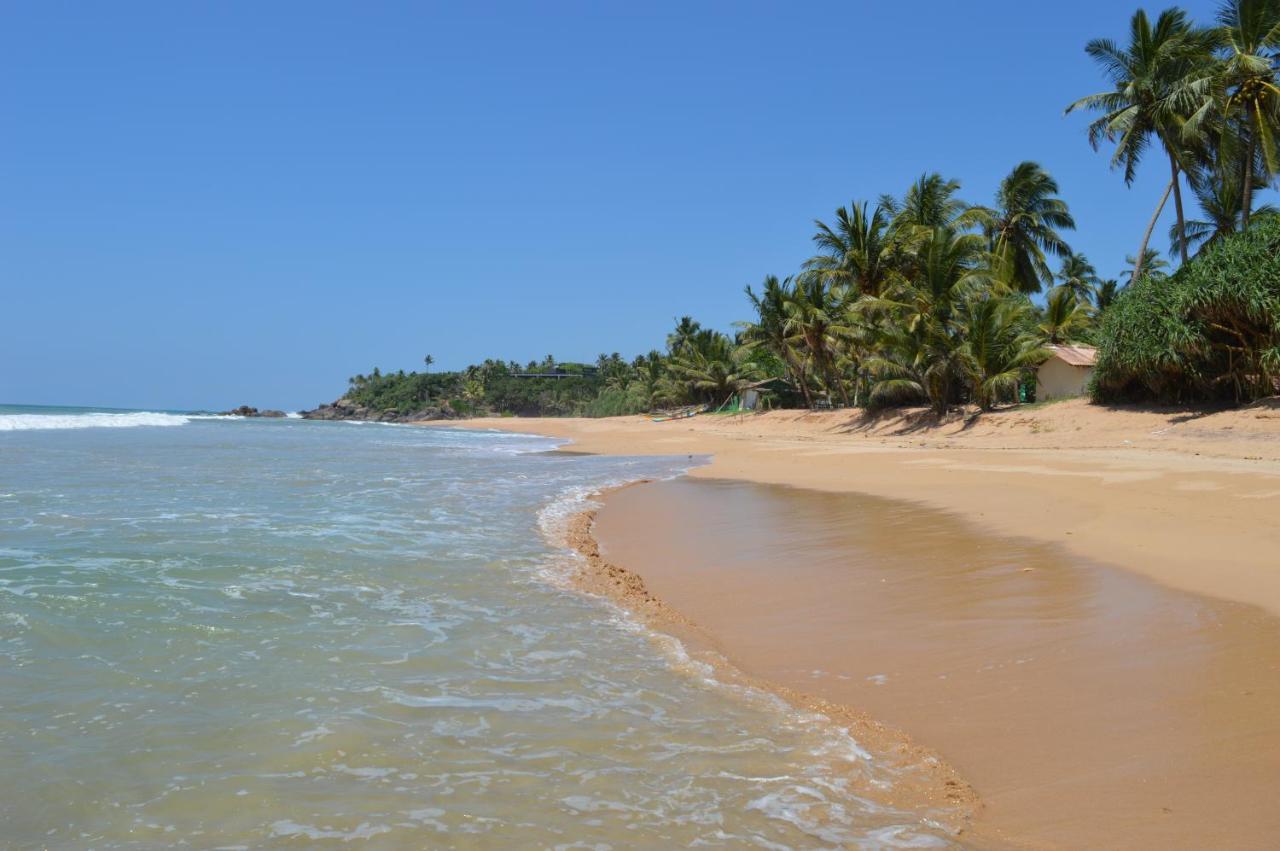 Zum Deutschen Bed & Breakfast Bentota Bagian luar foto
