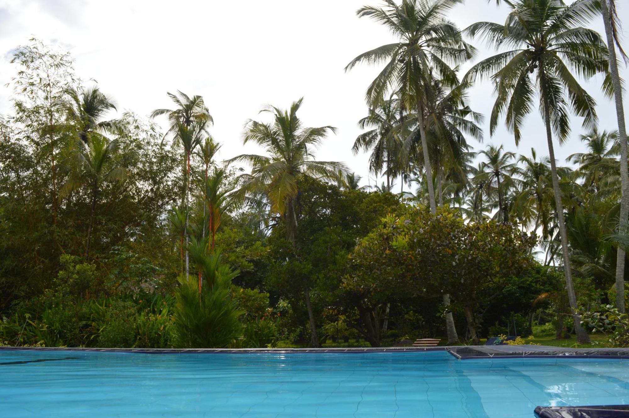 Zum Deutschen Bed & Breakfast Bentota Bagian luar foto